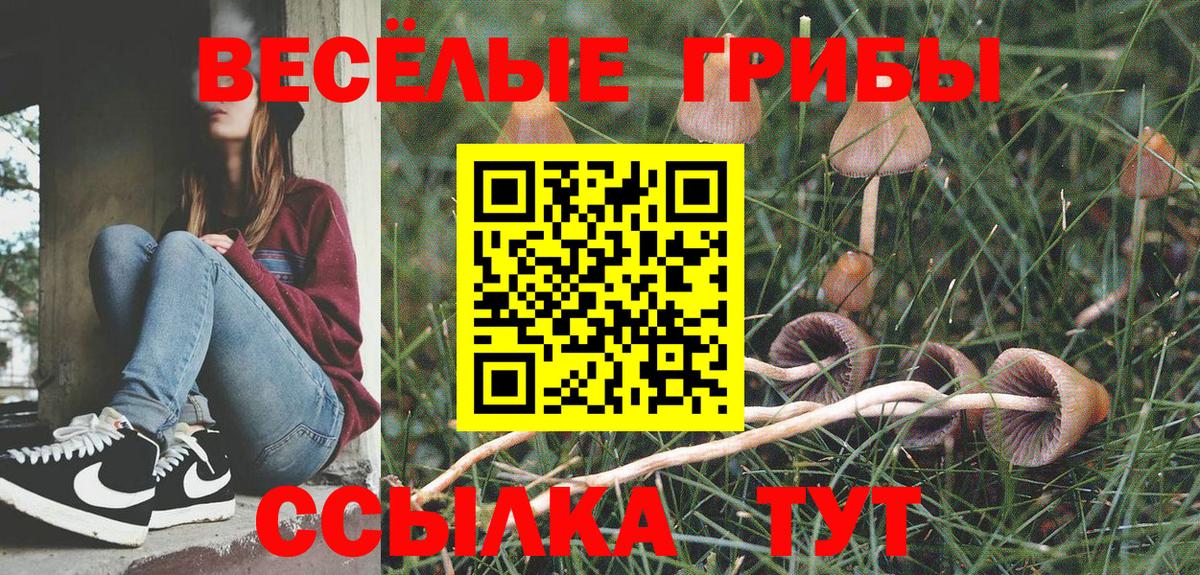 Псилоцибиновые грибы Cubensis  Галлюциногенные грибы GOLDEN TEACHER  Новокубанск  Вход с VPN 
